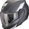 A_scorpionEXOTECHEVO_TEAM_MatBlaSil_getstung_ml